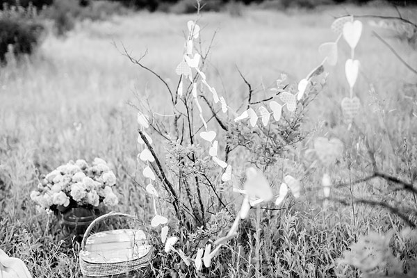private-picnic-engagement-session