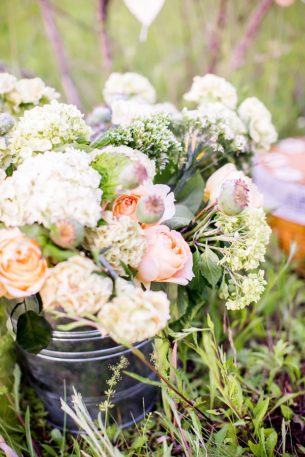 private-picnic-engagement-session