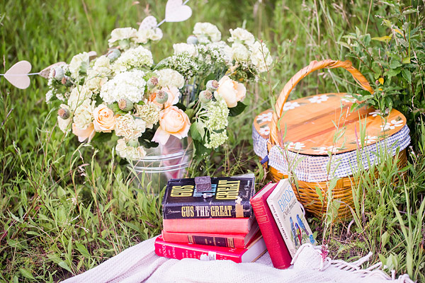 private-picnic-engagement-session