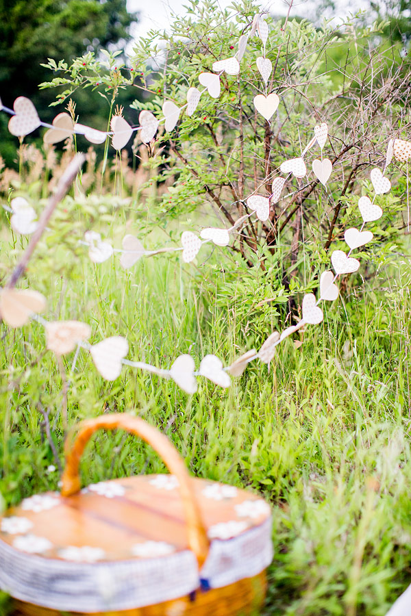 private-picnic-engagement-session