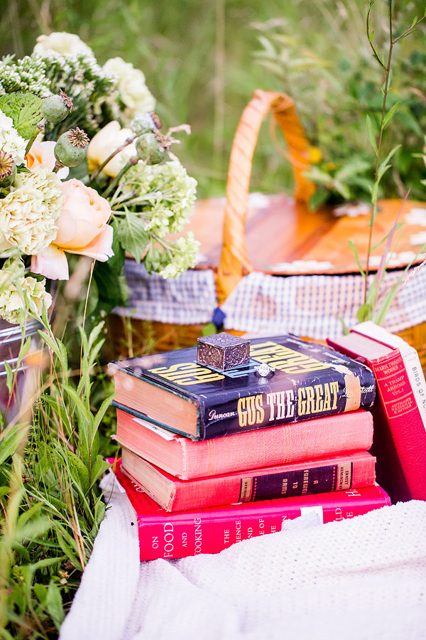private-picnic-engagement-session