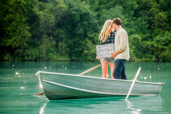 private-picnic-engagement-session