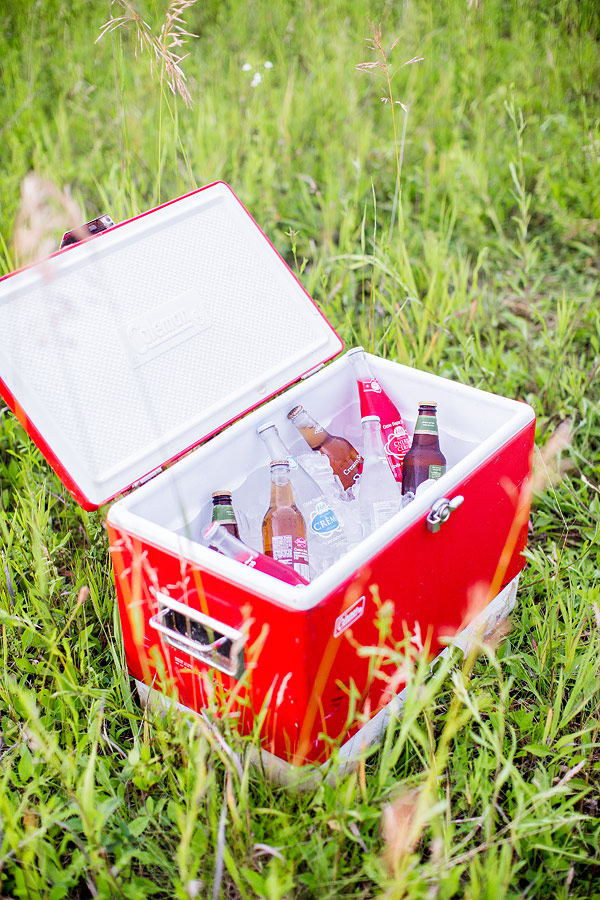 private-picnic-engagement-session