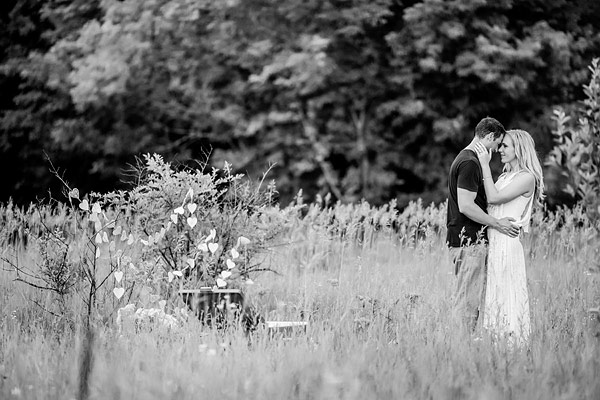 private-picnic-engagement-session