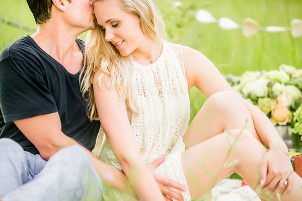 private-picnic-engagement-session