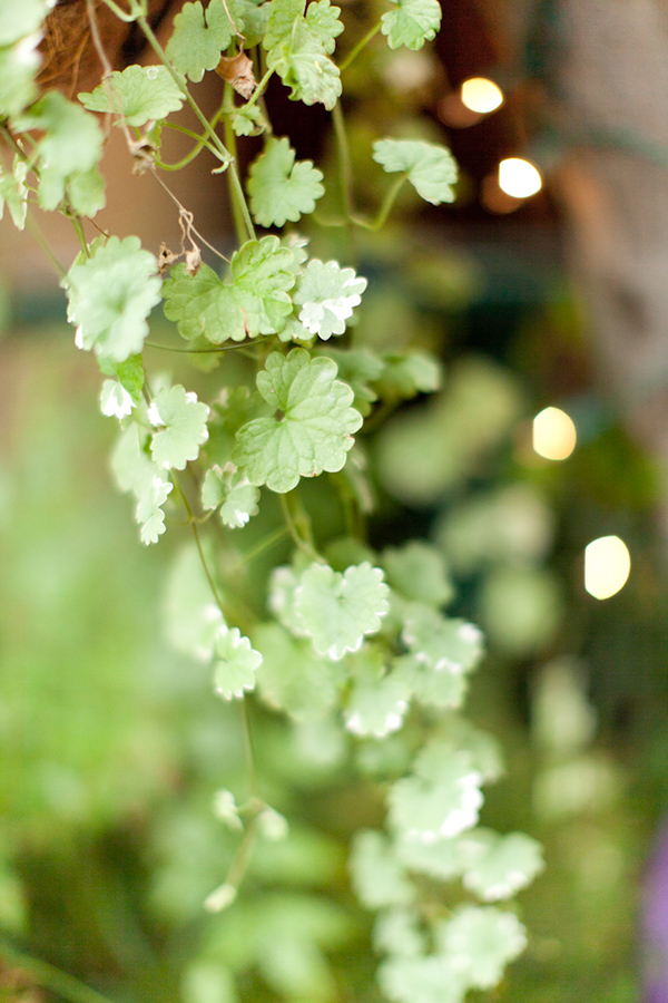 purple-and-gold-bridal-shower-ideas