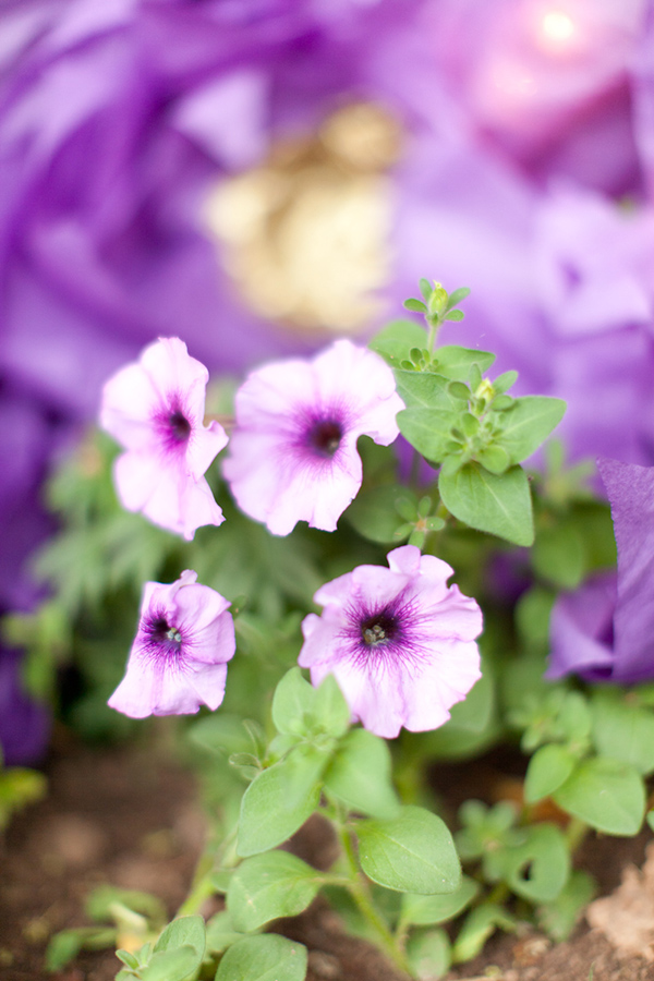 purple-and-gold-bridal-shower-ideas