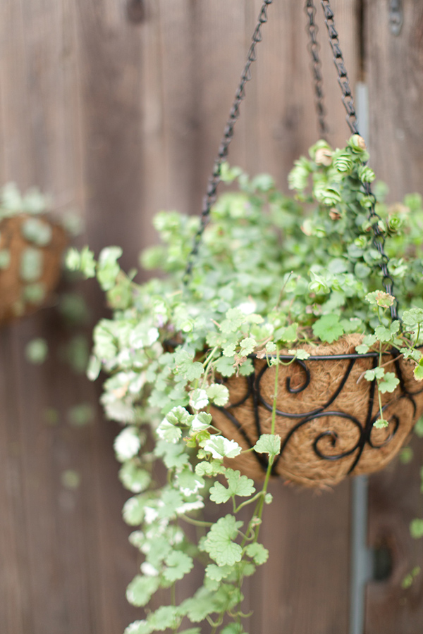 purple-and-gold-bridal-shower-ideas