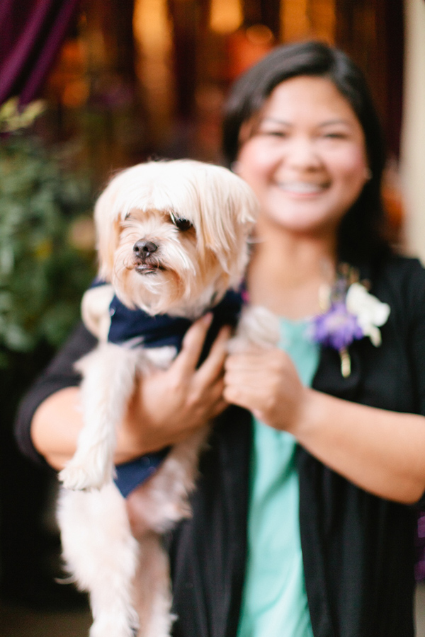 purple-and-gold-bridal-shower-ideas