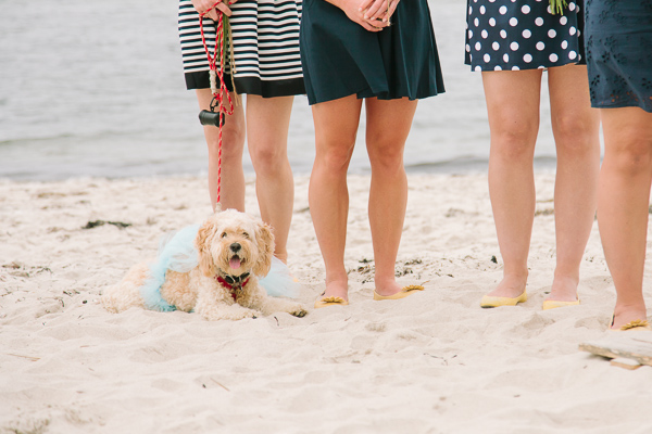 relaxed-cape-cod-beach-wedding