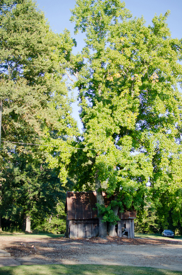 sweet-and-simple-outdoor-wedding