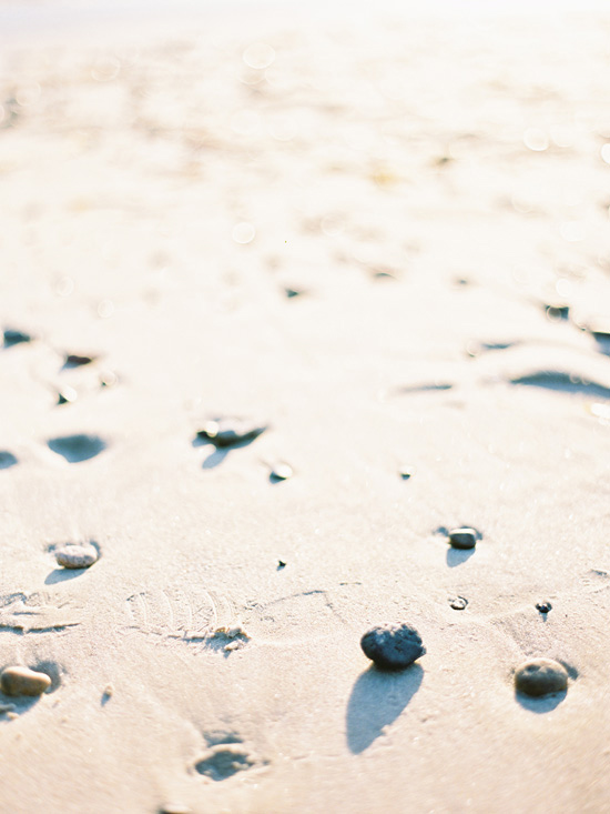 vibrant-and-colorful-coastal-wedding