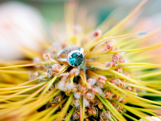 vibrant-and-colorful-coastal-wedding