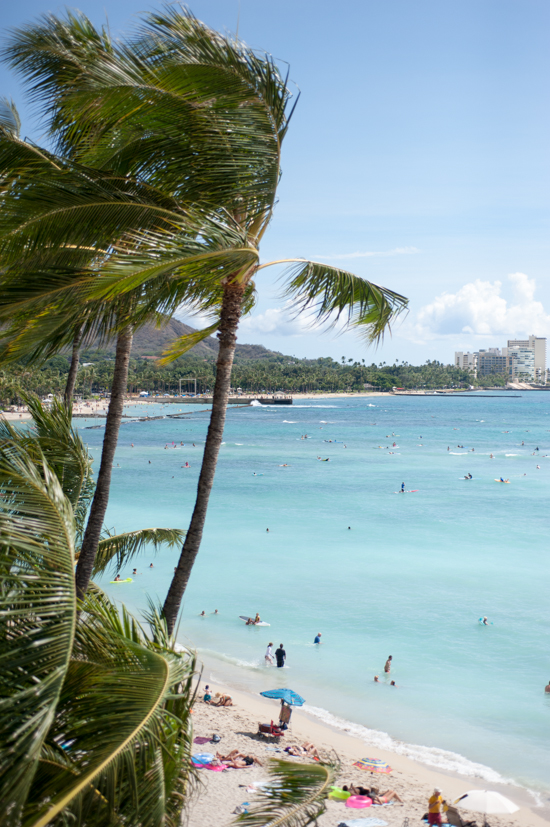 Hawaii beach scene with palm trees and people