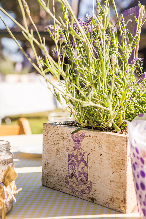 an-eco-friendly-lavender-and-white