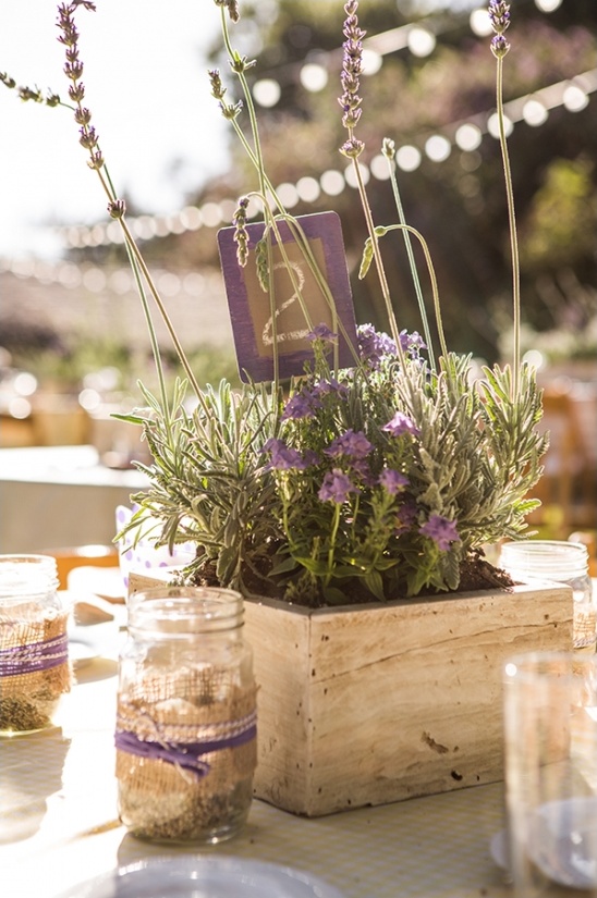 live lavender centerpiece and table number