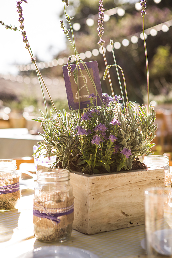 an-eco-friendly-lavender-and-white