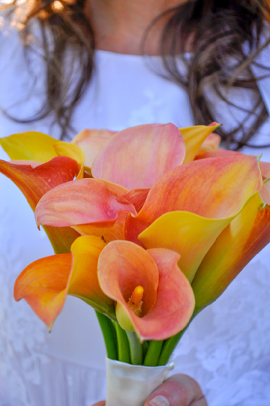 Vibrant orange and peach calla lilies bouquet