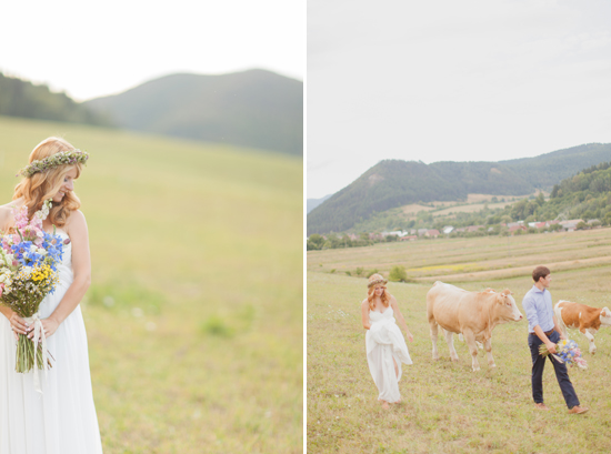 Rustic wedding: bride with wildflowers, couple with cows