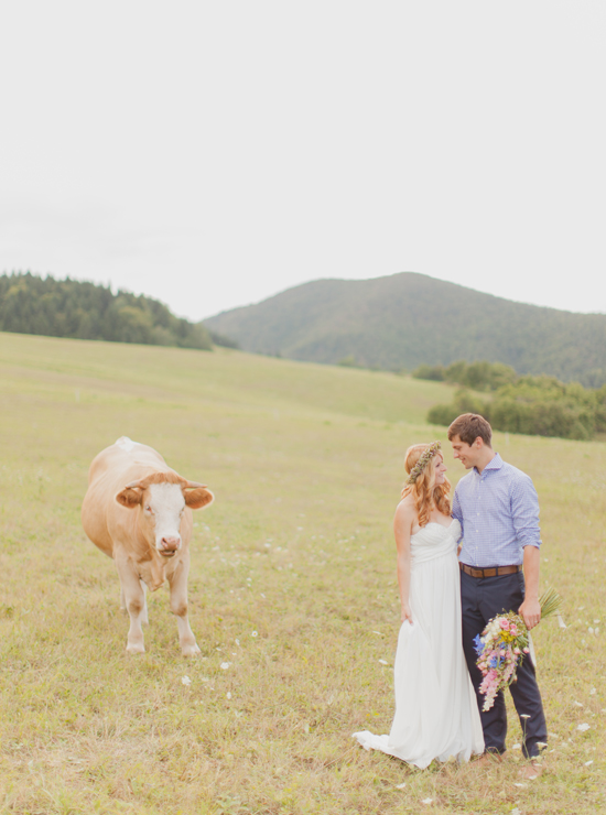 Rustic wedding couple with cow in field