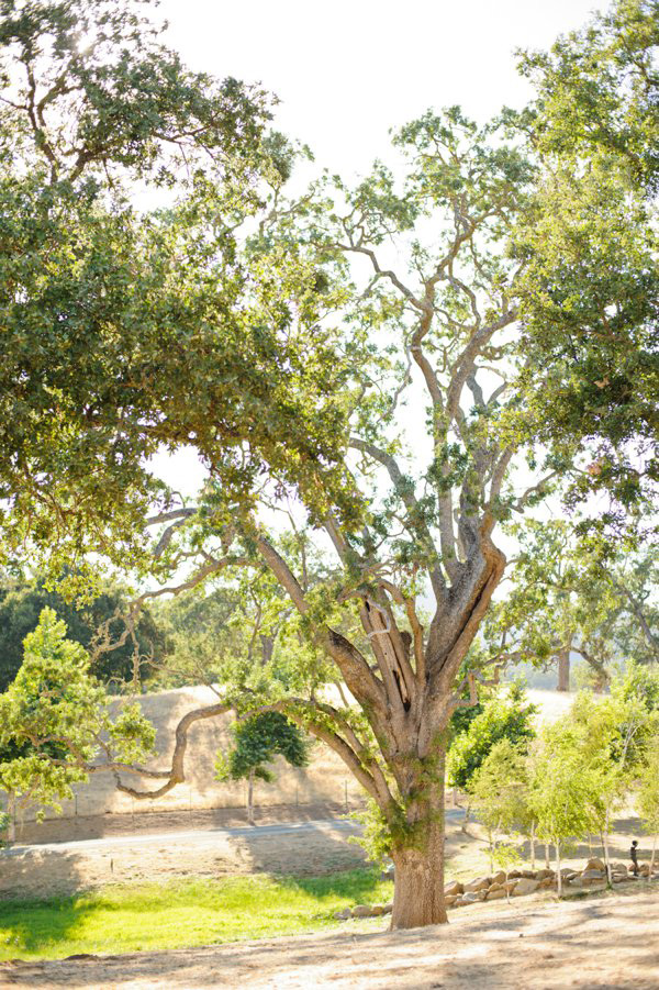 classy-country-wedding-at-spanish-oaks