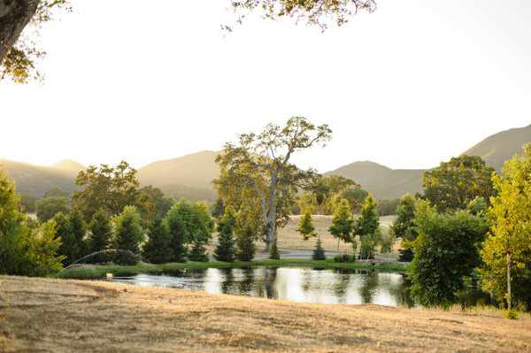 classy-country-wedding-at-spanish-oaks