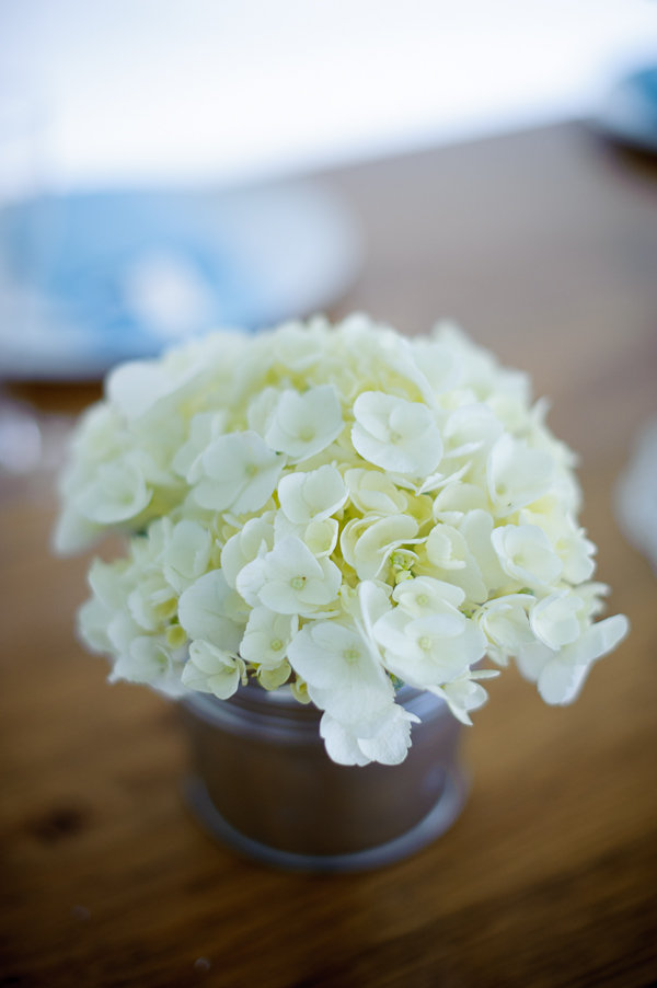 creative-canuck-wedding