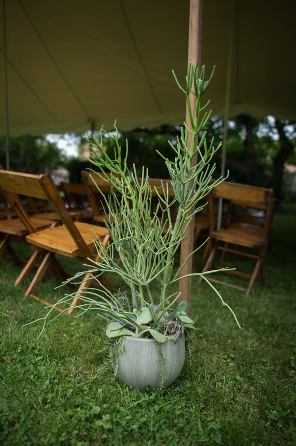 fish-and-bird-backyard-wedding