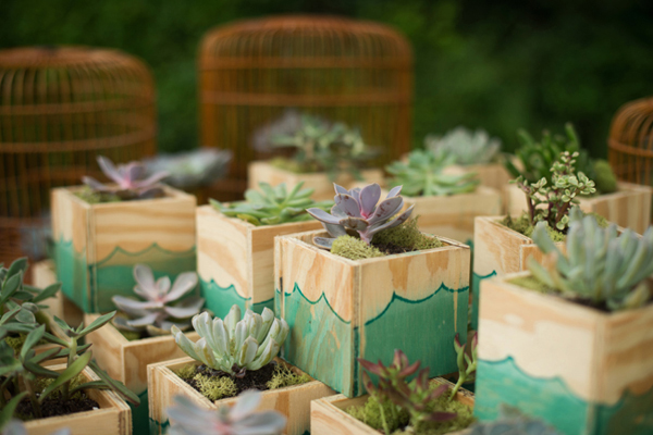 fish-and-bird-backyard-wedding