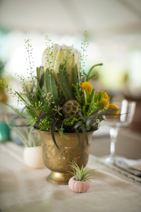 fish-and-bird-backyard-wedding