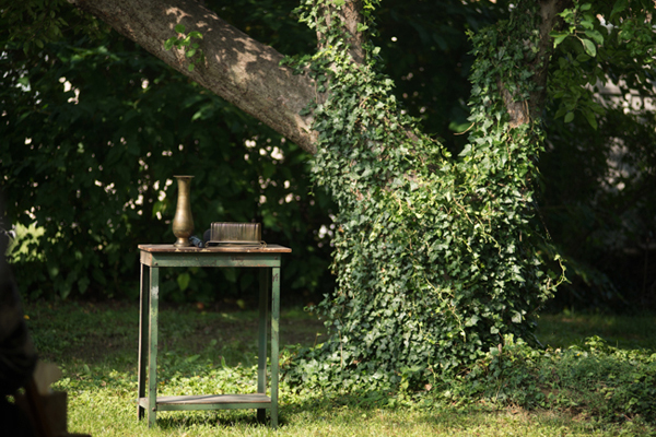 fish-and-bird-backyard-wedding