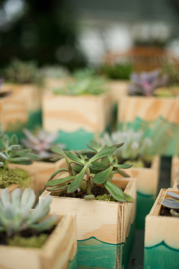 fish-and-bird-backyard-wedding