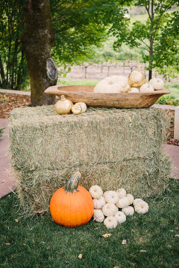 gold-and-white-wedding-in-napa-valley
