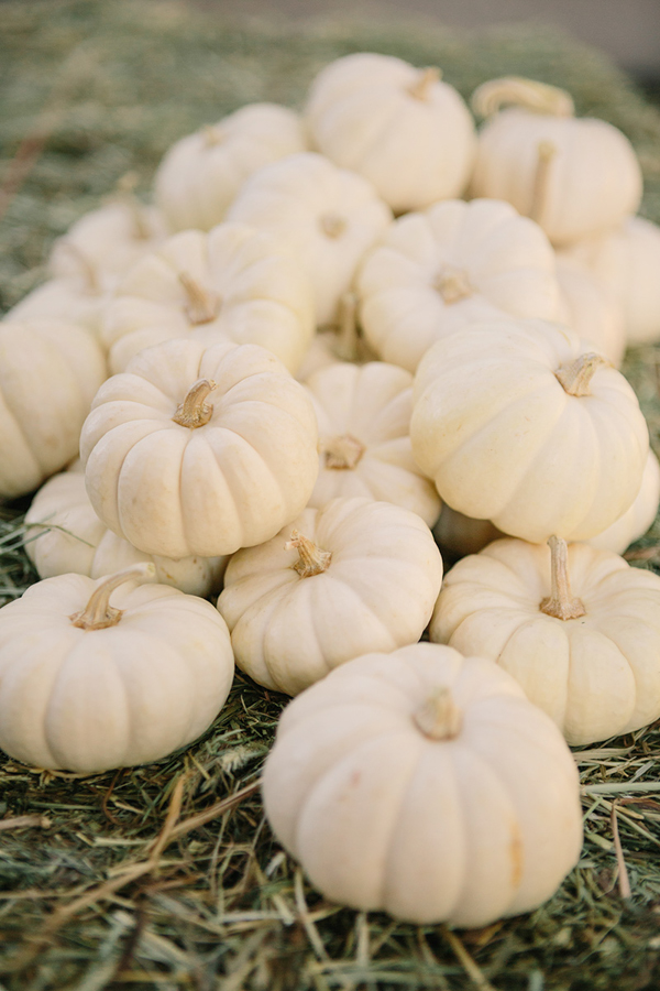gold-and-white-wedding-in-napa-valley