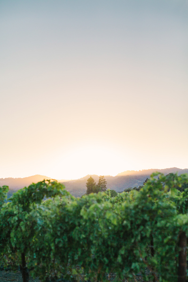 gold-and-white-wedding-in-napa-valley