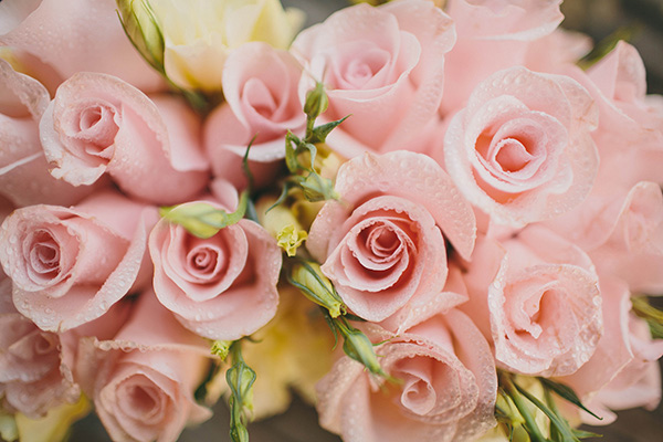 honey-sweet-wedding-in-california