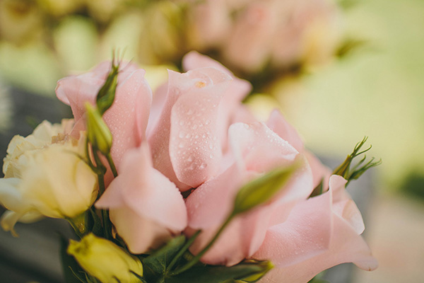 honey-sweet-wedding-in-california