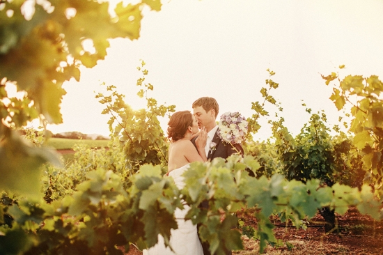 Lavender and Wine love at a beautiful Healdsburg Backyard Wedding