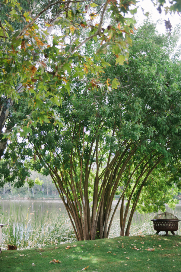 natural-gold-wedding-ideas