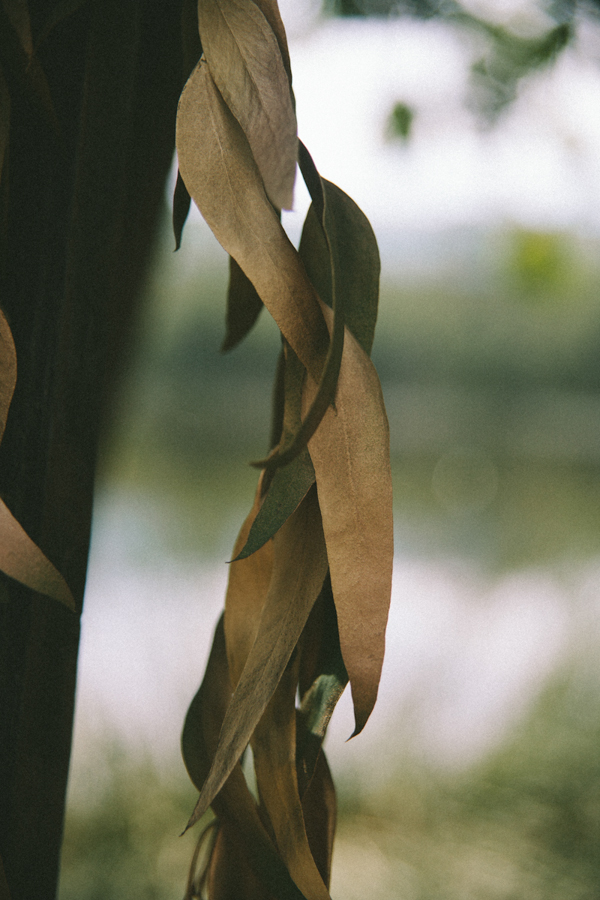 natural-gold-wedding-ideas