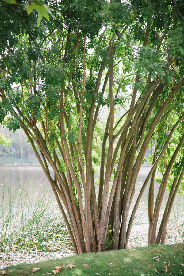 natural-gold-wedding-ideas
