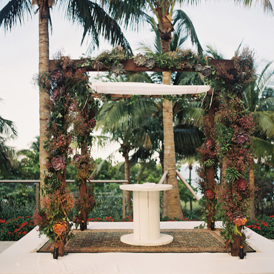 succulent covered chuppah