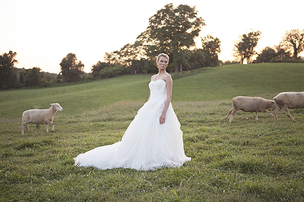pastel-sheep-wedding-inspiration