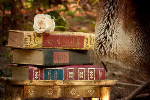 princess-bride-wedding-inspiration