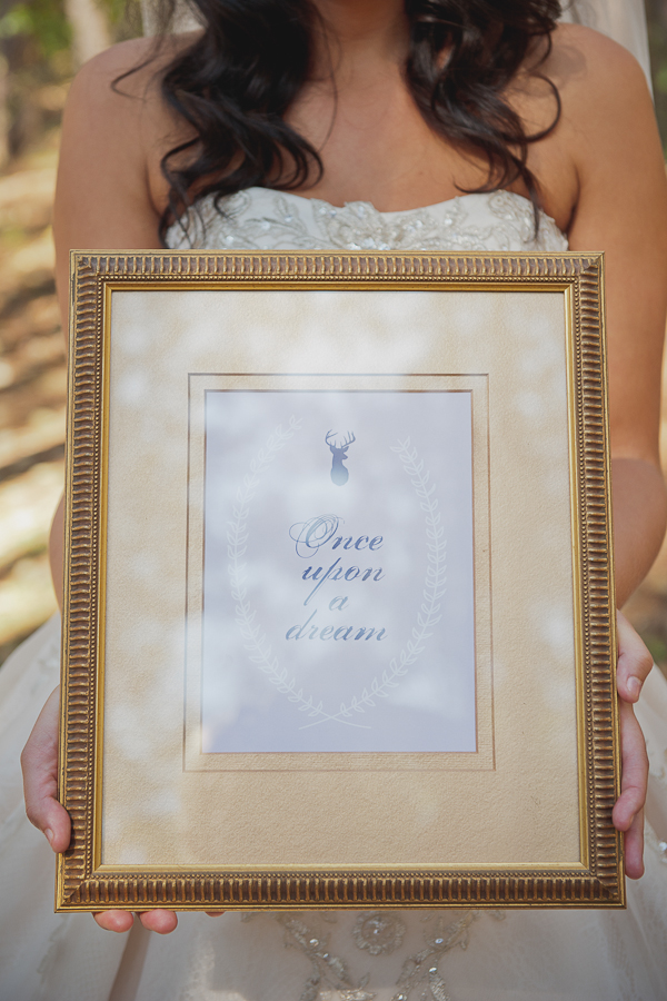princess-bride-wedding-inspiration
