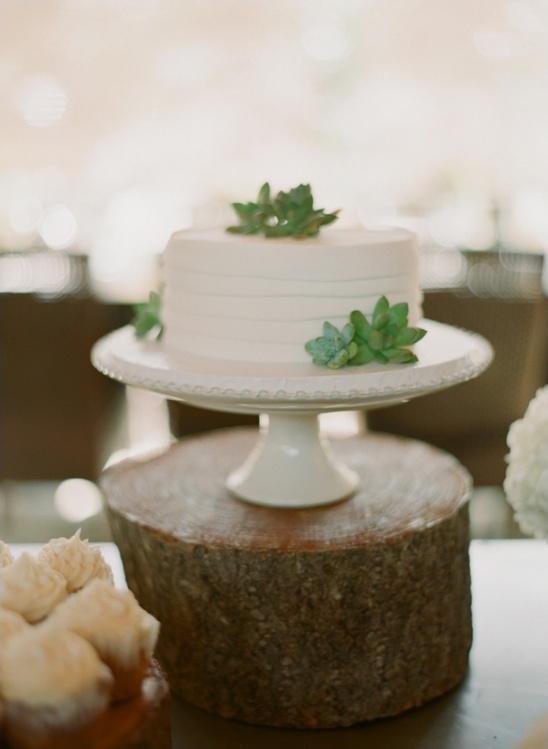 Rustic wedding cake with succulents on wood stand
