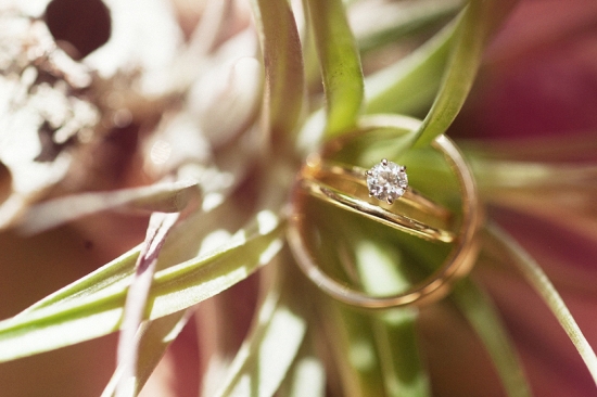 Rustic animal friendly DIY wedding at the Los Altos History Museum