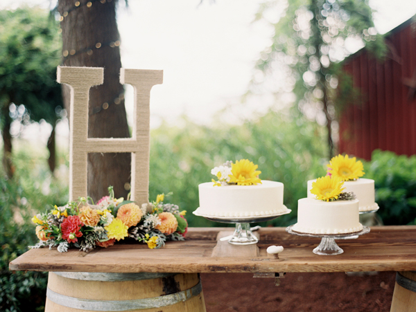 summertime-country-wedding-at-wilmes