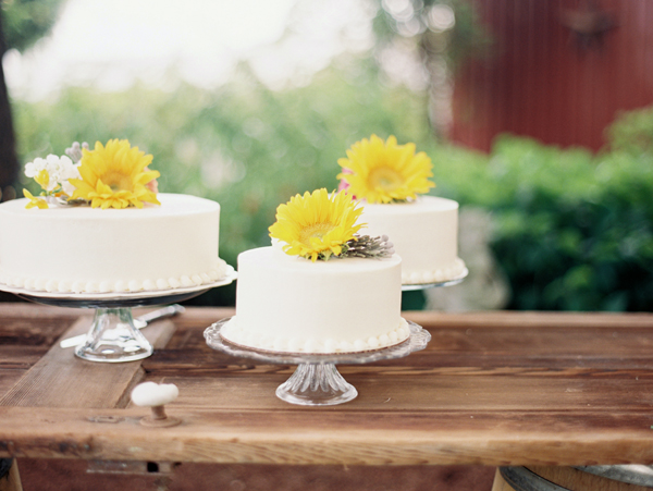 summertime-country-wedding-at-wilmes