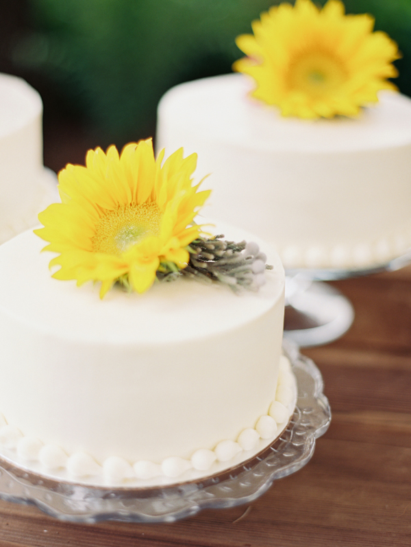 summertime-country-wedding-at-wilmes